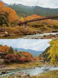 東京｜青梅御岳溪谷 關東紅葉秘境。