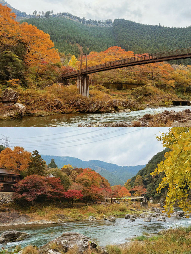 東京｜青梅御岳溪谷 關東紅葉秘境。