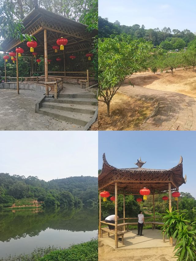 南國桃園！在開滿花的枝頭，春意盎然。