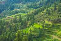 貴州肇興侗寨&堂安梯田 | 奔赴一場治癒系出逃