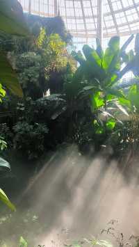 昆明植物界的愛馬仕館–扶荔宮