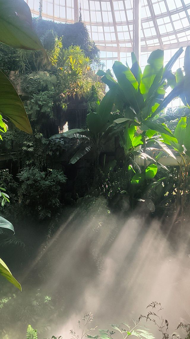 昆明植物界的愛馬仕館–扶荔宮