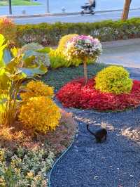 垂虹公園變樣了多少人的童年回憶