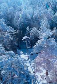 到看雪山的季節啦！！！