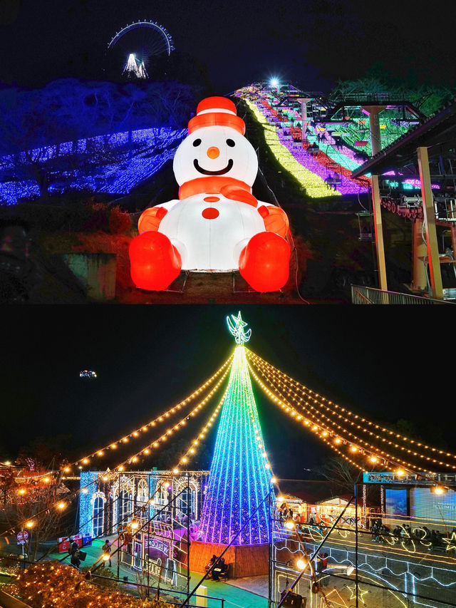Winter's Hidden Gem: Tokyo's Surrounding Light Shows