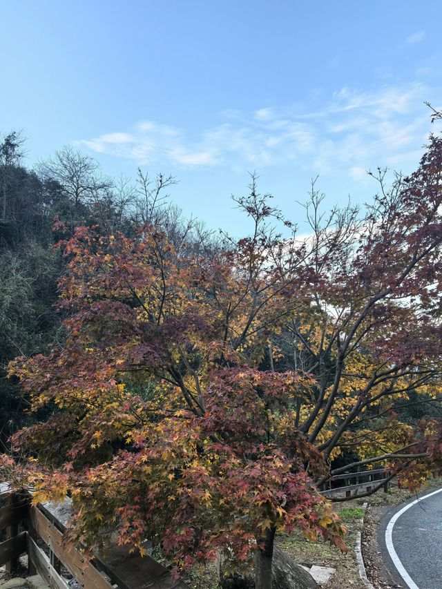 杭州旅遊的小眾景點—大明山