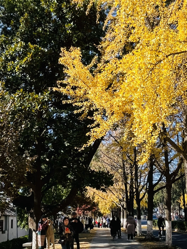 蘇州漫步：道前街-體育場路-定慧寺巷