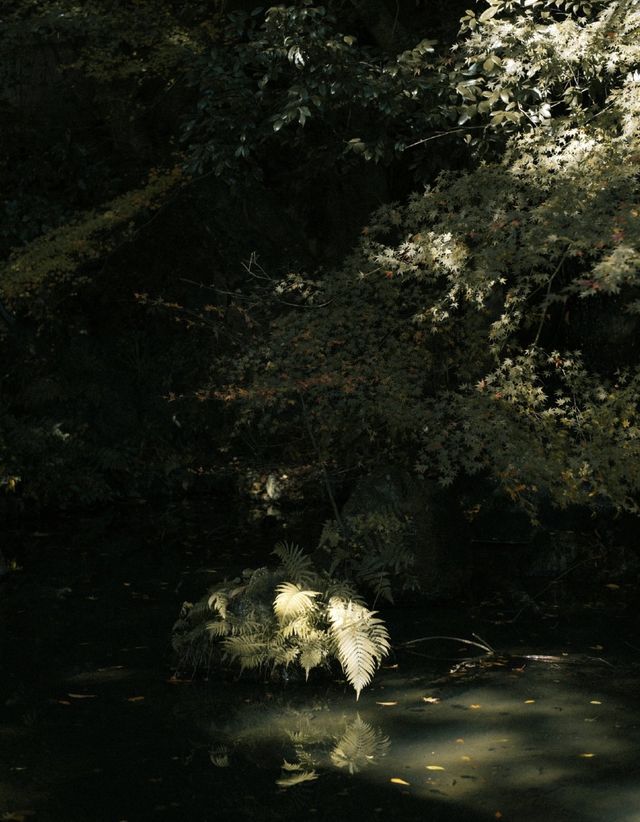石山寺｜何必去京都看紅葉擠破頭