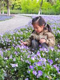 寶藏公園、超好玩彩虹滑道、兒童樂園 玩得停不下來！