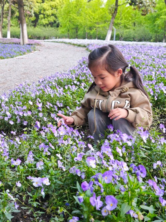寶藏公園、超好玩彩虹滑道、兒童樂園 玩得停不下來！