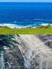 時效 Trip 分享｜2024年的 Big Sur 已綠！快衝！