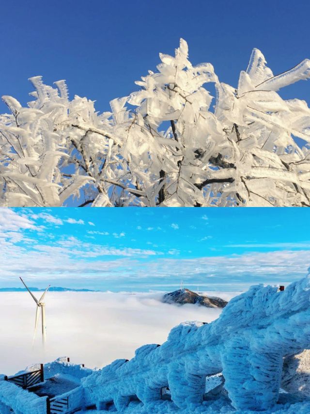 住進廣東版「雪鄉」！邂逅雲海冰掛霧凇仙境