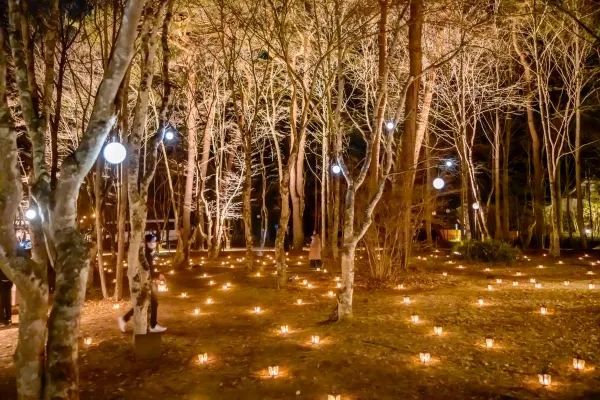 Experience the Magic of Christmas at Karuizawa Kogen Church