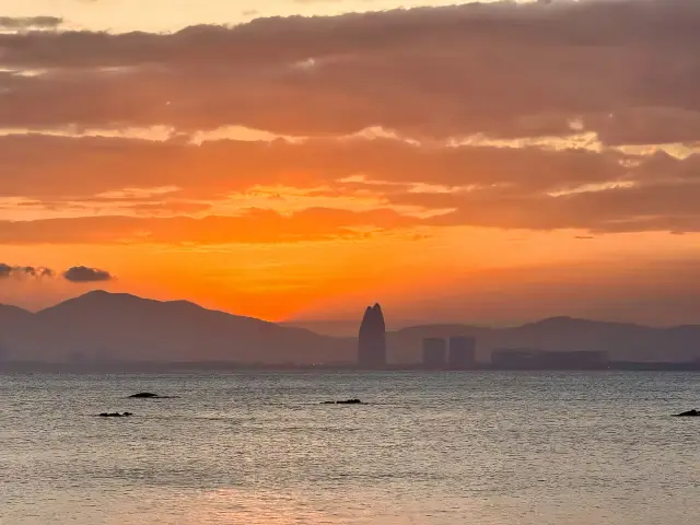 Diving in Lingshui | Top 3 Recommended Spots