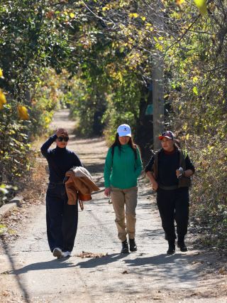 Dali Miju River: A beautiful place with century-old trees!