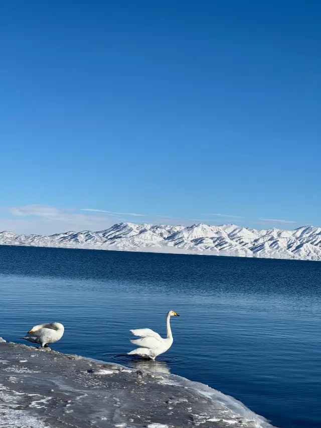 新疆冬季旅行ガイド