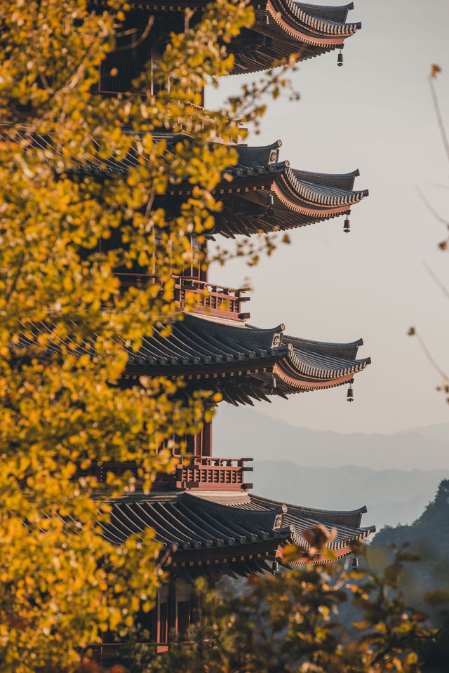 韶關雲門寺 | 佛國山川間，唐風庭院深