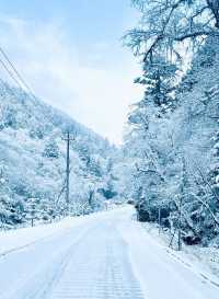 滿屏雪山霧凇的滑雪場