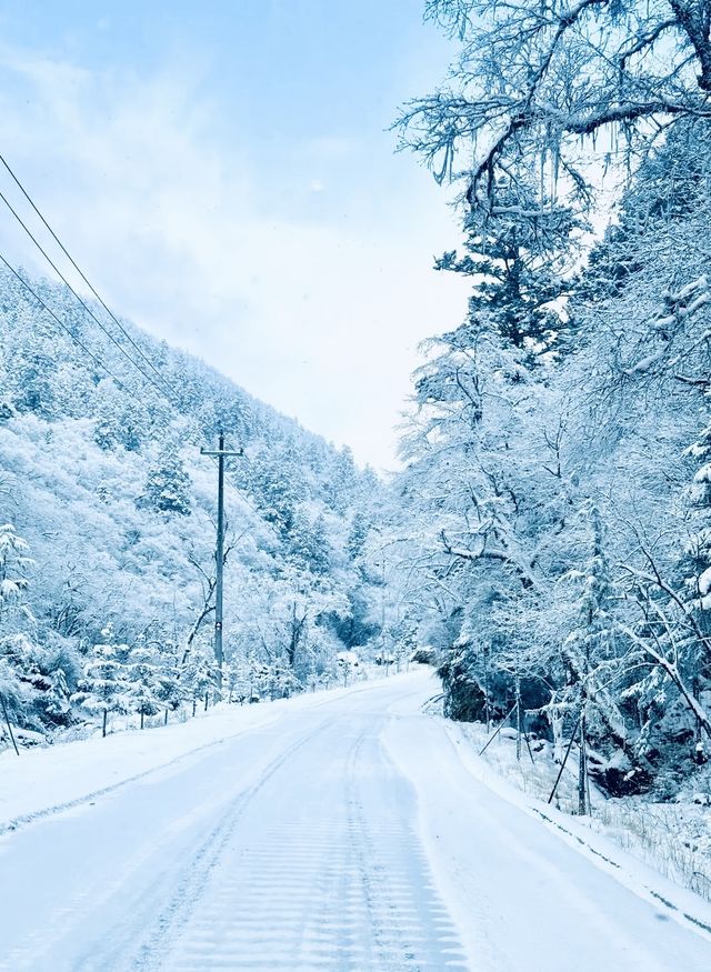 滿屏雪山霧凇的滑雪場