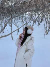 北國的冬｜哈爾濱長白山旅行｜長白山|||