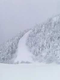 Exploring Nagano's Shiga Kogen Ski Resort: Yokoteyama & Shibutoge