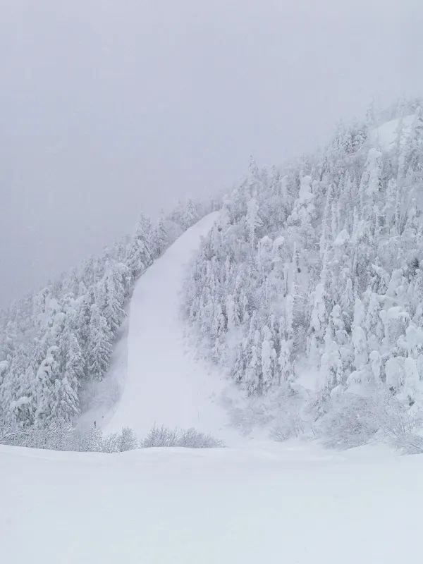Exploring Nagano's Shiga Kogen Ski Resort: Yokoteyama & Shibutoge