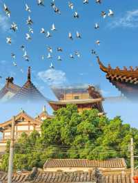 游記潮汕小眾旅行地揭陽打卡攻略