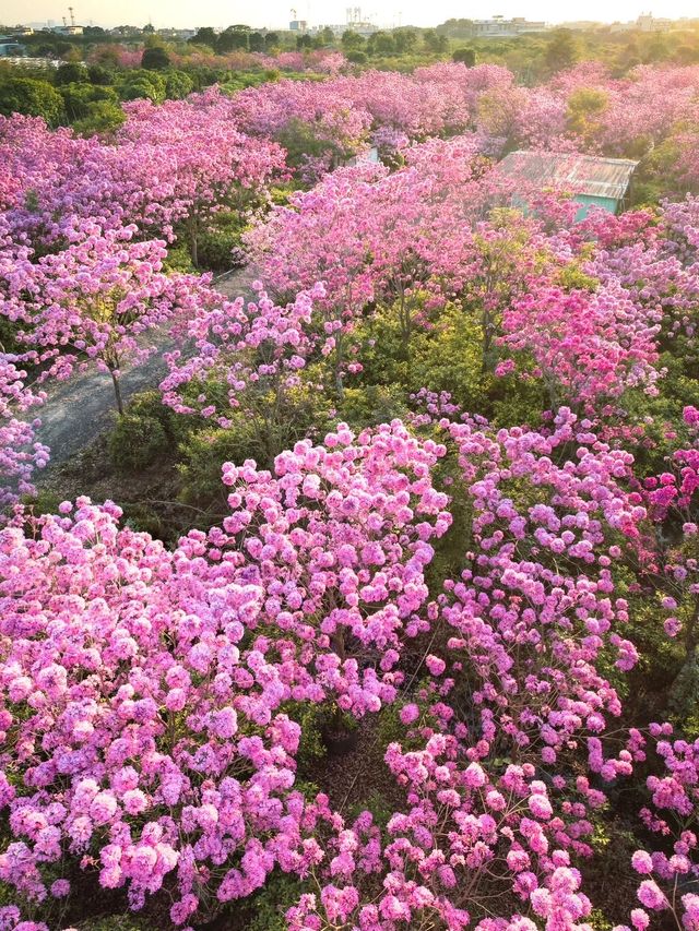珠海-中山3日遊 盡享溫泉之旅舒緩身心