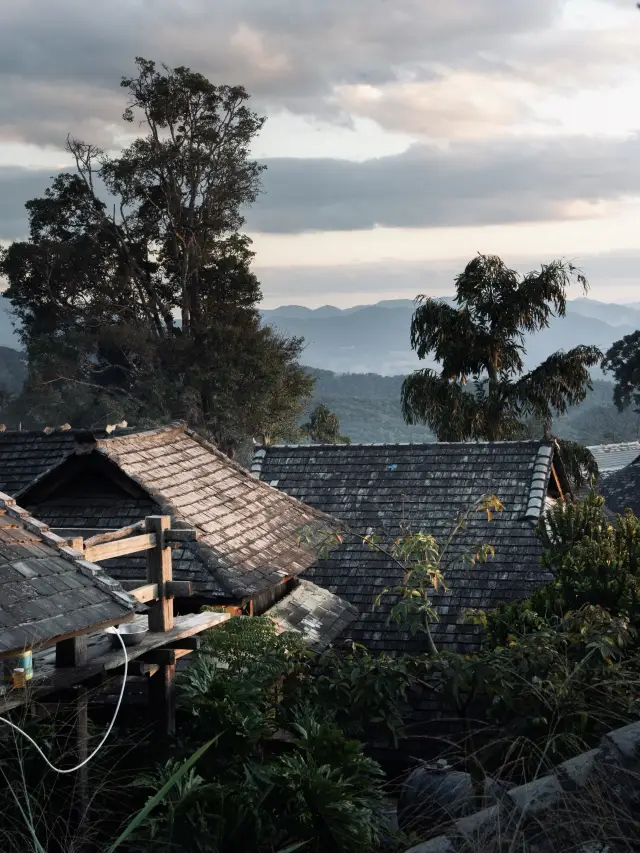 윈난 사람으로서, 이 초소규모 목적지를 꼭 추천해 드려야겠습니다