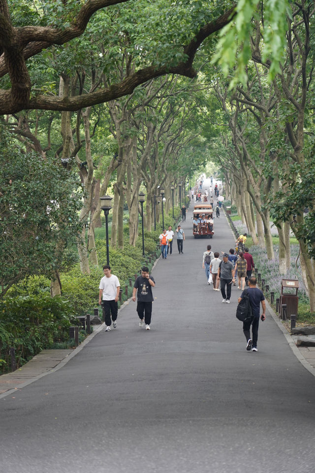 杭州友好公園的攻略