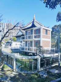 上海這個公園也太好逛了-桂林公園記