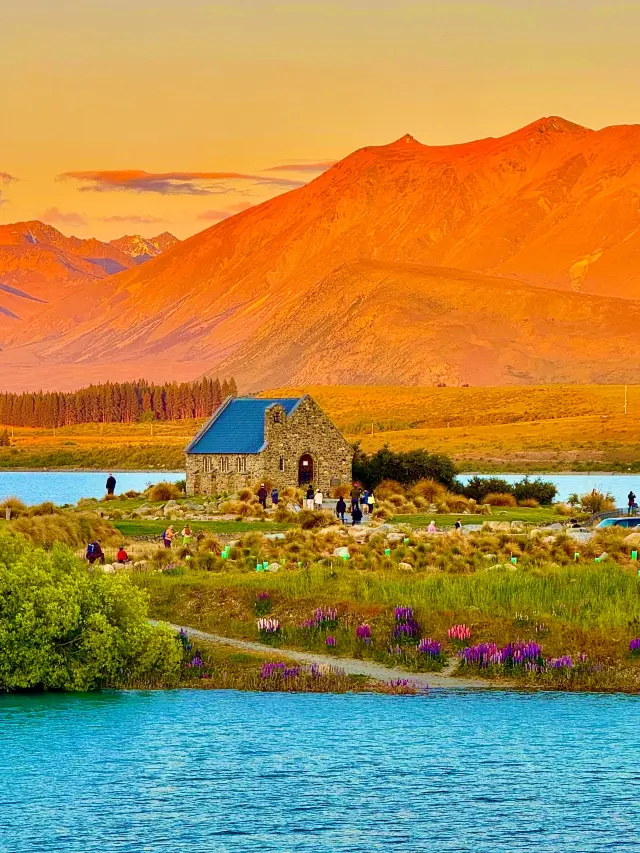 Saw the golden Tekapo in New Zealand, it was so beautiful I cried