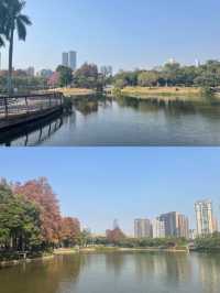 四海公園，邂逅冬日暖陽的浪漫