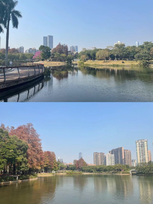四海公園，邂逅冬日暖陽的浪漫