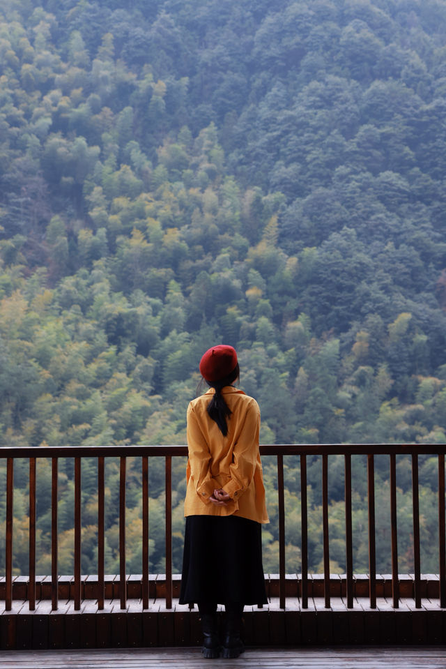 新年反向旅遊｜帶娃住進避世民宿