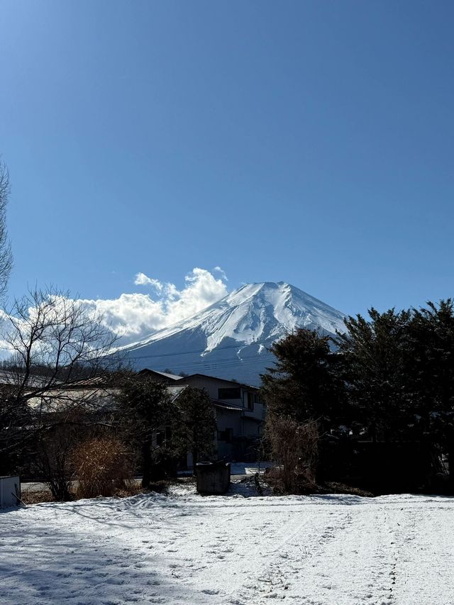 8日深度遊日本 盡享溫泉之旅