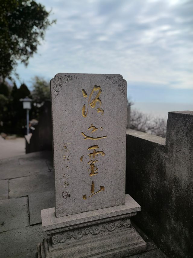 普陀洛迦山保姆級攻略
