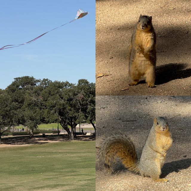 絕美打卡地 | 休斯頓赫曼公園Hermann Park