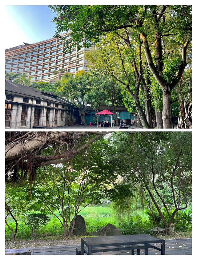 台北必逛！松山文創園，文藝與自然的夢幻交織。