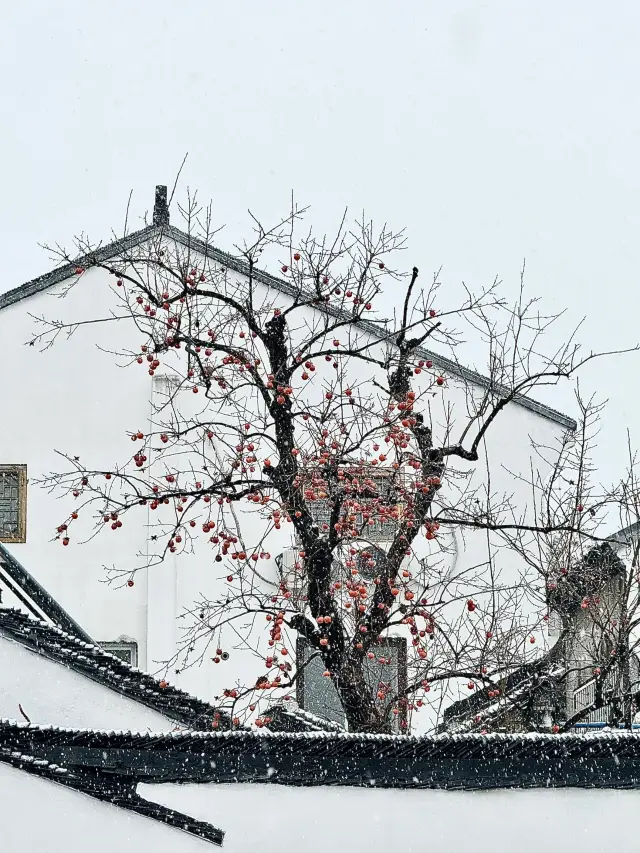 Suzhou, can you snow a little harder? 