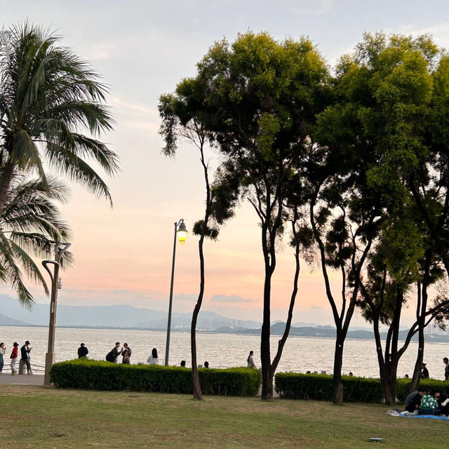 海鷗與落日🌇椰林遊樂場🌴一定要帶娃來‼️