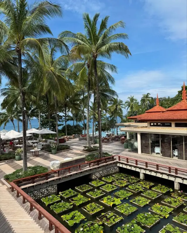 入住布吉特瑞薩酒店(Trisara)泳池別墅酒店!