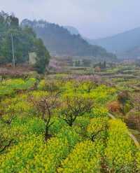 黃石大冶沼山村的春天