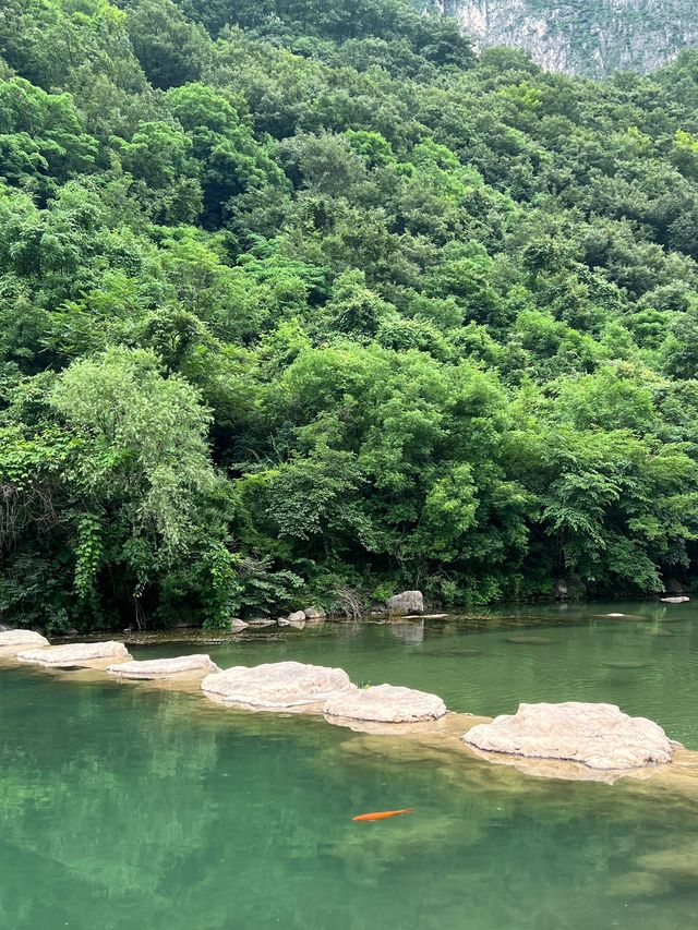 5日穿越河南郑州-洛陽-開封 特全遊玩攻略 5日穿越河南郑州-洛陽-開封 特全遊玩攻略