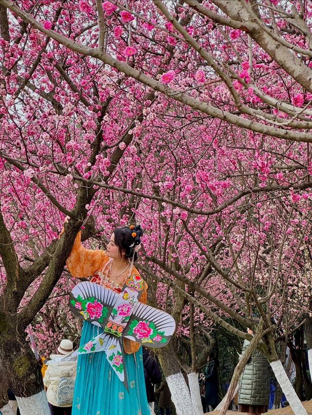 成都植物園！！花又開爆了