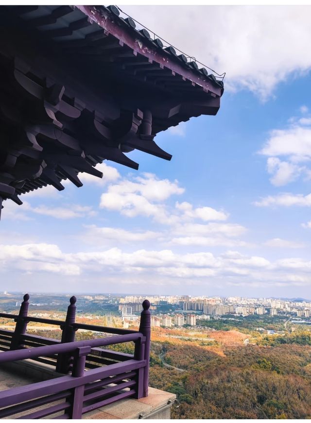 儋州小眾景點儋陽樓 治癒系風光