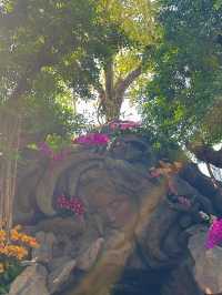 亞洲最大的上海溫室花園