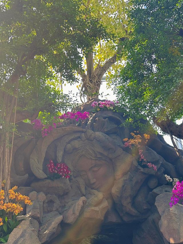 亞洲最大的上海溫室花園