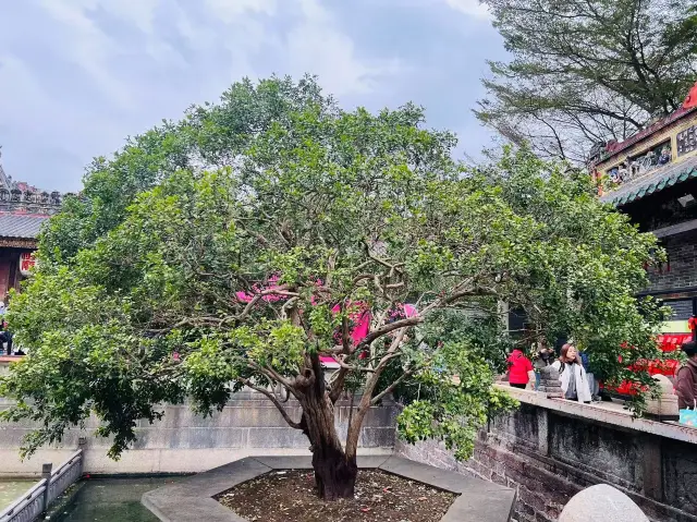 佛山に来たなら、必ず祖廟へ