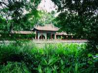 2 Brilliant Days in Magnificent Chengdu: Discovering Sichuan Culture